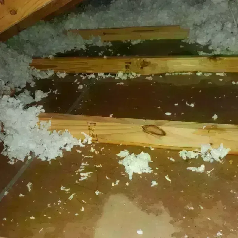 Attic Water Damage in Valdese, NC