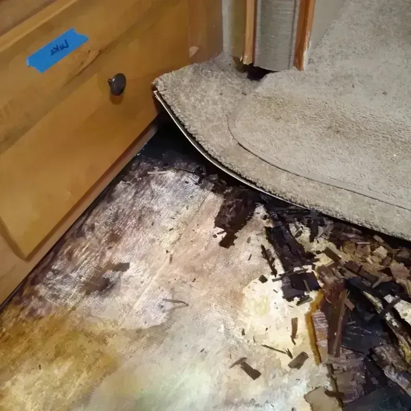 Wood Floor Water Damage in Valdese, NC